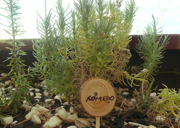 Con Piscina Climatizada Y Vistas Daire Costa Adeje