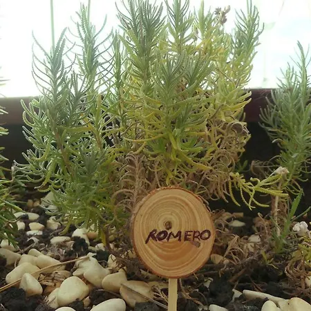 Con Piscina Climatizada Y Vistas Apartment Costa Adeje (Tenerife)