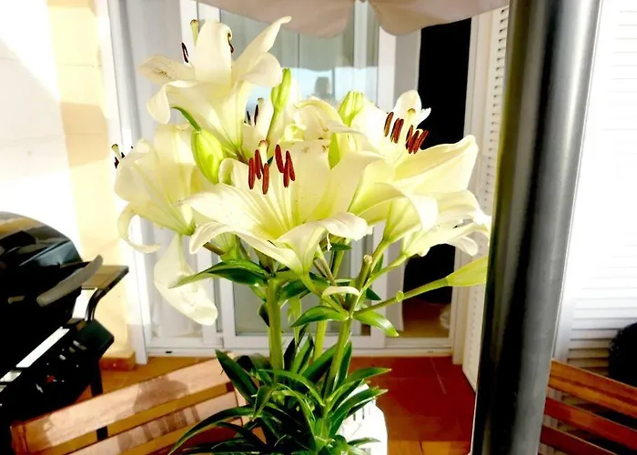 Con Piscina Climatizada Y Vistas *